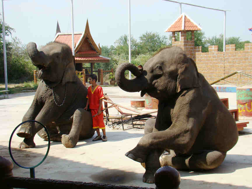 Gambar Tour