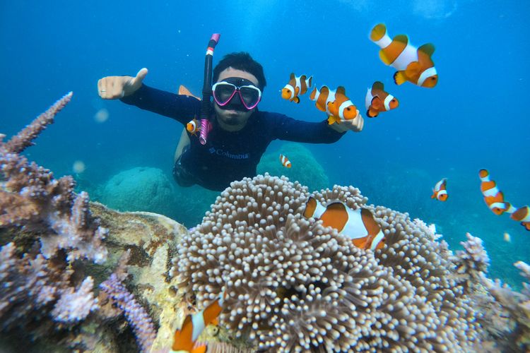 Gambar Tour