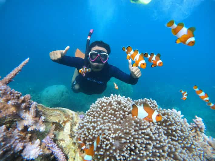 Gambar Tour